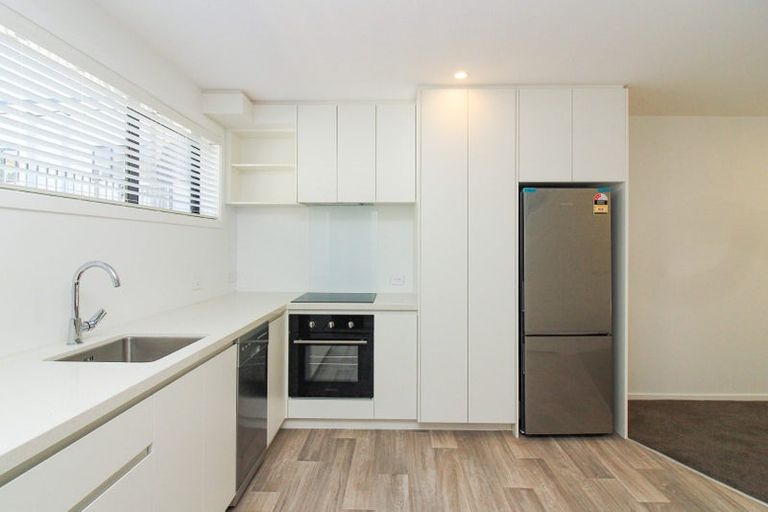 Photo of property in 96u8 Washington Avenue, Brooklyn, Wellington, 6021