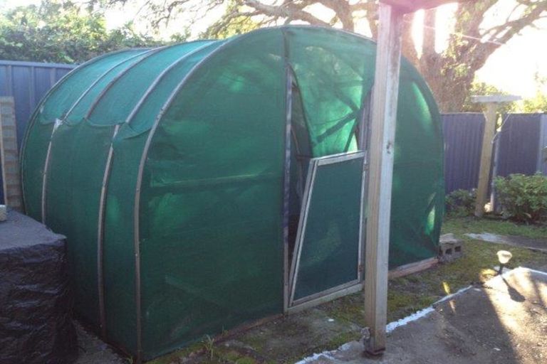 Photo of property in 41 Lyndhurst Street, Awapuni, Gisborne, 4010