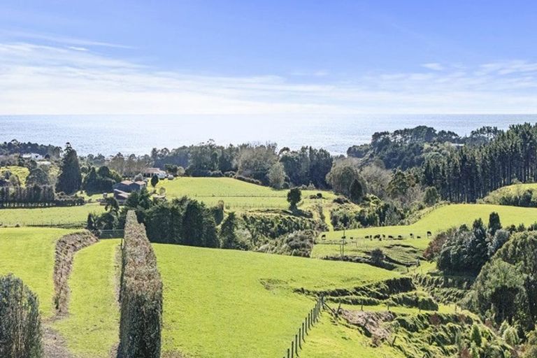 Photo of property in 29 Wilson Road, Urenui, 4375