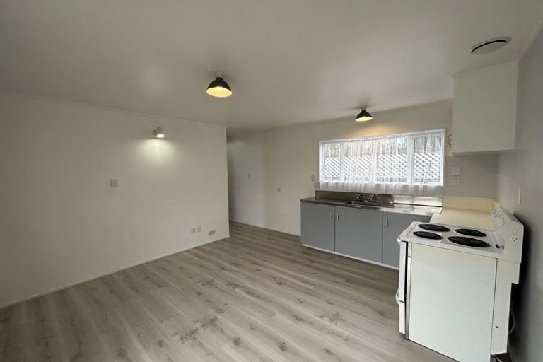 Photo of property in 38 Abbotsford Street, Whitiora, Hamilton, 3200