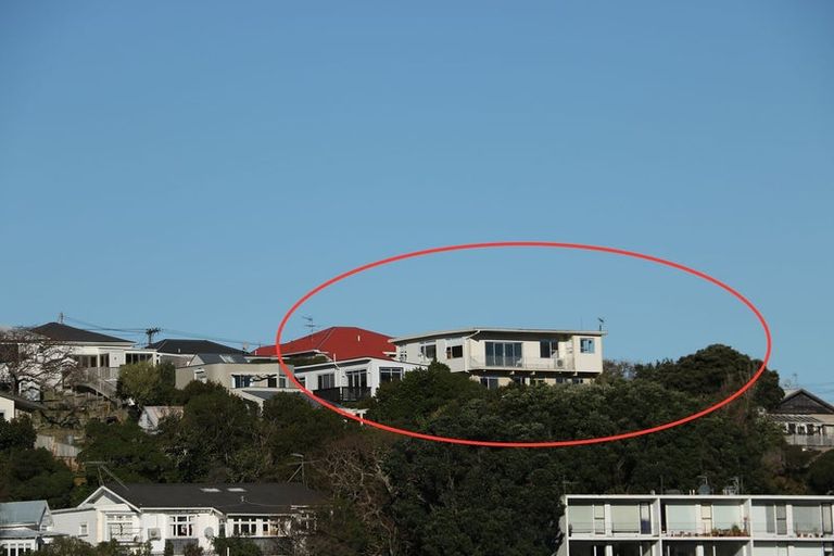 Photo of property in 48 Overtoun Terrace, Hataitai, Wellington, 6021