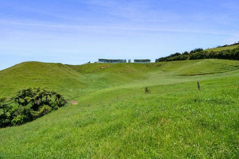 Photo of property in 325a Awai Road, Tarurutangi, New Plymouth, 4372
