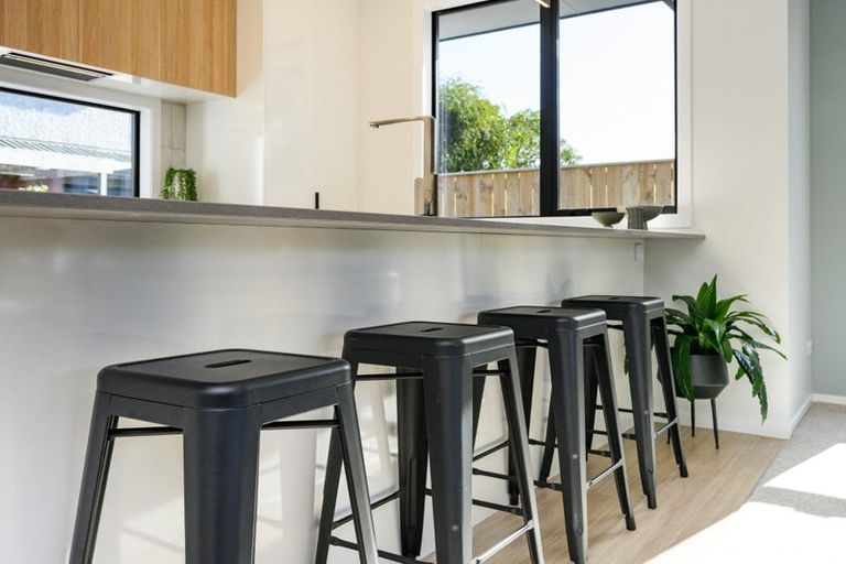 Photo of property in 10c Limbrick Street, Terrace End, Palmerston North, 4410