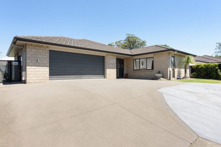 Photo of property in 11 Hansard Place, Bethlehem, Tauranga, 3110