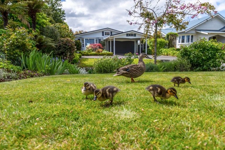 Photo of property in 32 Essex Street, Masterton, 5810