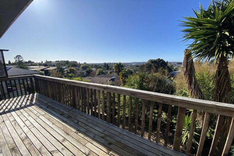 Photo of property in 38 Newcastle Road, Dinsdale, Hamilton, 3204