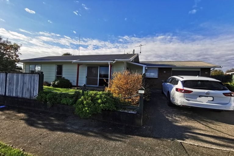 Photo of property in 17 Adkin Avenue, Levin, 5510