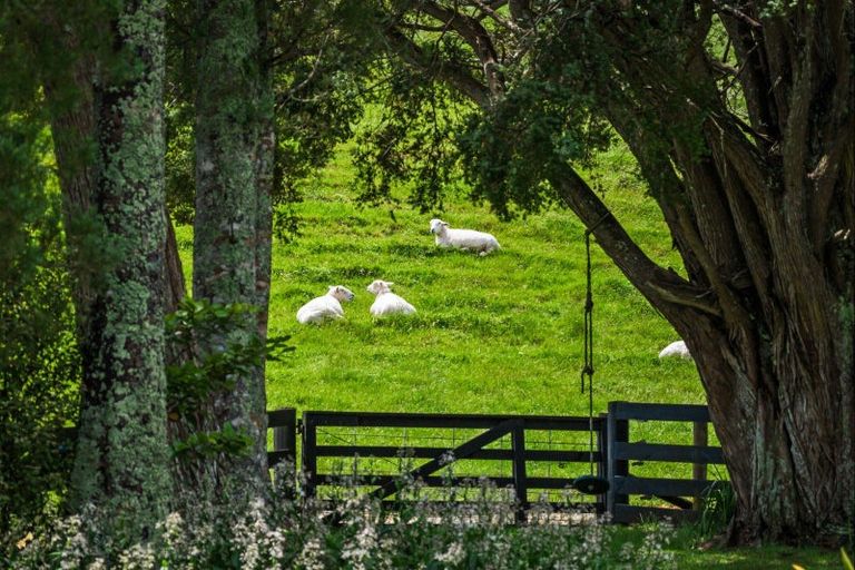 Photo of property in 725 Woodcocks Road, Kaipara Flats, Warkworth, 0981