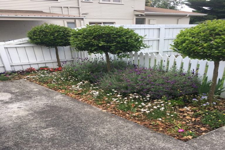 Photo of property in 122 Fox Street, Hamilton East, Hamilton, 3216