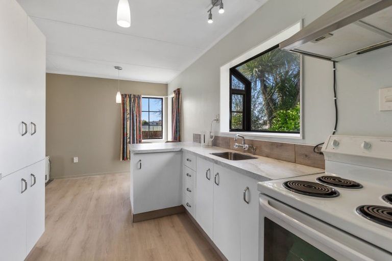 Photo of property in 12b Douglas Street, Levin, 5510