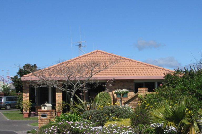 Photo of property in 6 Fuchsia Place, Mount Maunganui, 3116