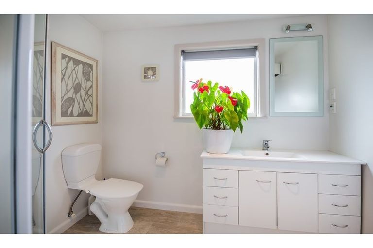 Photo of property in 24c Harakeke Street, Riccarton, Christchurch, 8011