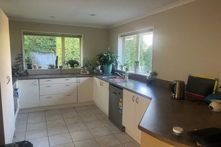 Photo of property in 55 Springwater Avenue, Northwood, Christchurch, 8051