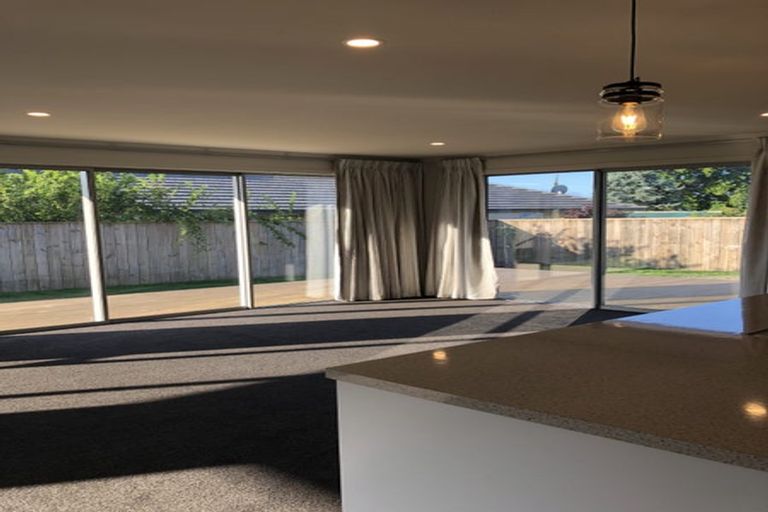 Photo of property in 3 Feijoa Way, Richmond, 7020