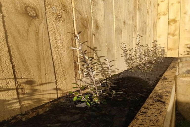 Photo of property in 14 Papai Lane, Massey, 0614