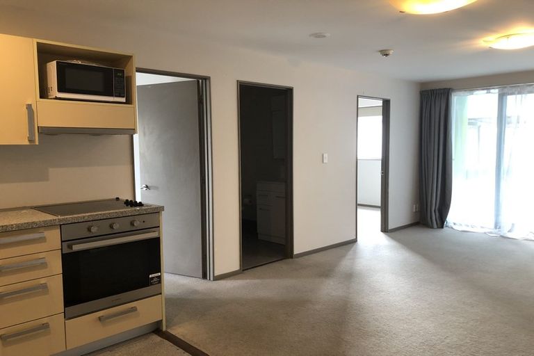 Photo of property in Dual Apartments, 301/142u Vivian Street, Te Aro, Wellington, 6011