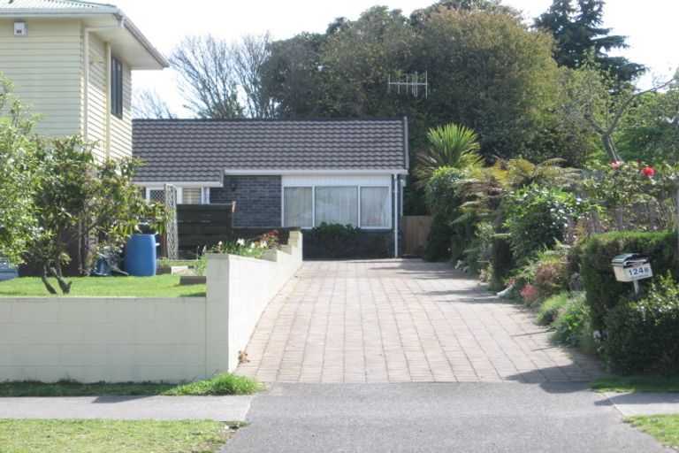Photo of property in 124 Tamamutu Street, Taupo, 3330