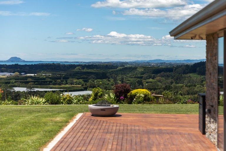 Photo of property in 265 Hot Springs Road, Tahawai, Katikati, 3178
