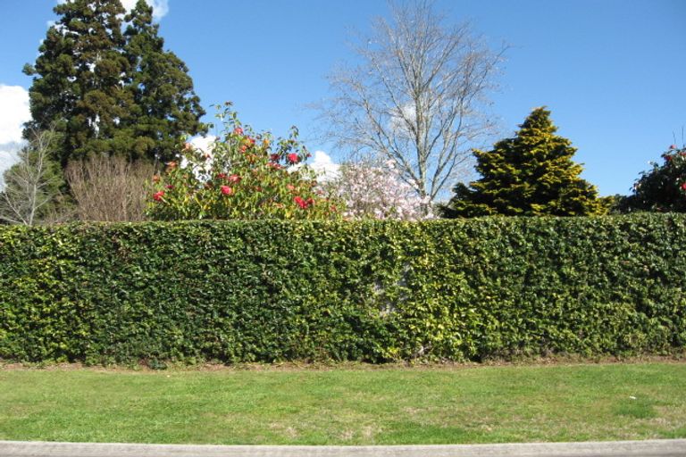 Photo of property in 23 Inglewood Place, Bethlehem, Tauranga, 3110