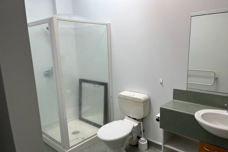 Photo of property in Dixonlane Apartments, 26/7 Feltex Lane, Te Aro, Wellington, 6011