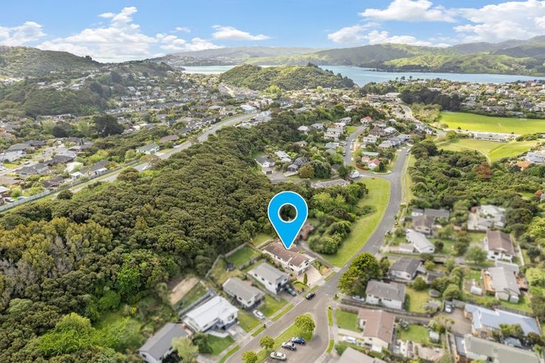 Photo of property in 56 Albatross Close, Whitby, Porirua, 5024