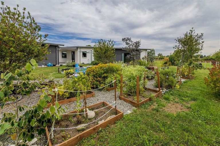 Photo of property in 134 Gladstone Road, Levin, 5571