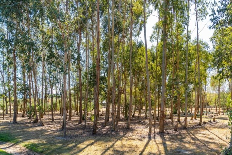 Photo of property in 672d Te Whiti Road, Te Whiti, Masterton, 5884
