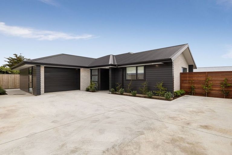 Photo of property in 50 Vogel Street, Roslyn, Palmerston North, 4414