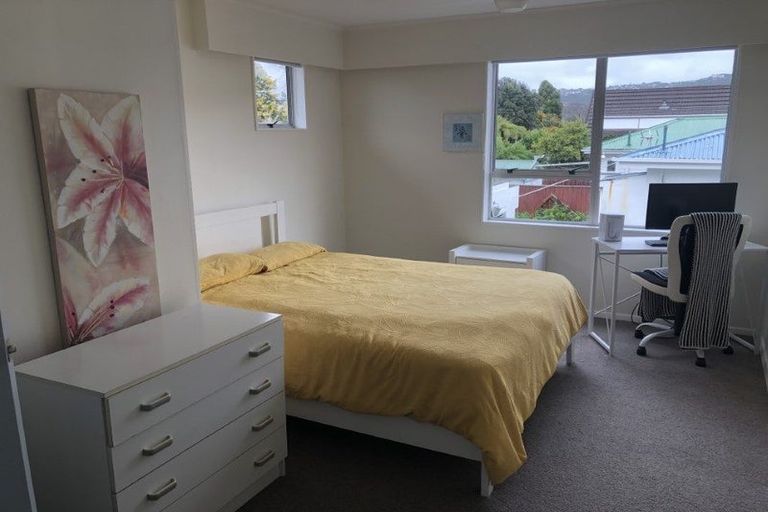 Photo of property in 66 Brunswick Street, Hutt Central, Lower Hutt, 5010