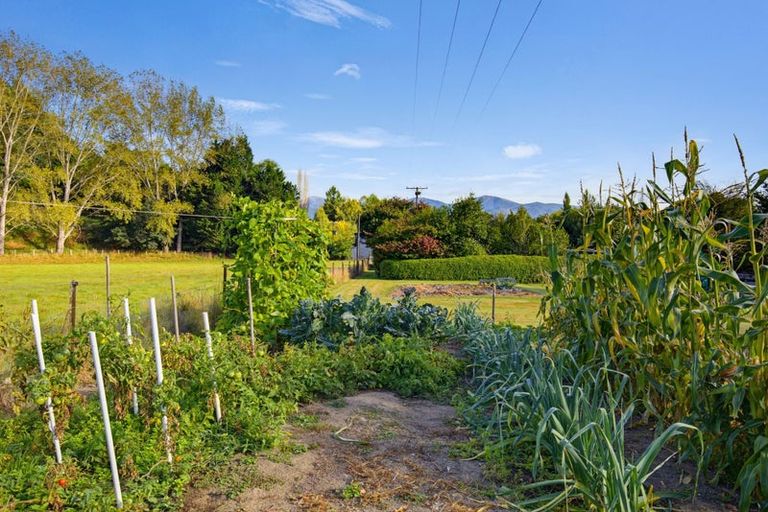 Photo of property in 172 Thorpe-orinoco Road, Ngatimoti, Motueka, 7196