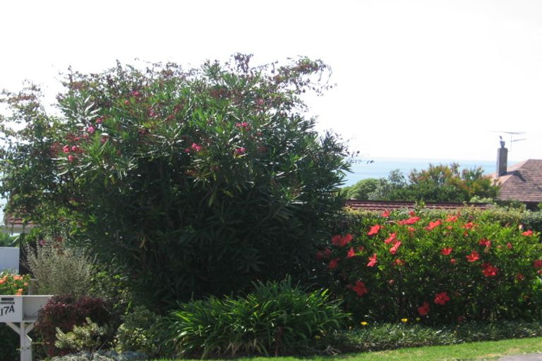 Photo of property in 19 Bournemouth Terrace, Murrays Bay, Auckland, 0630