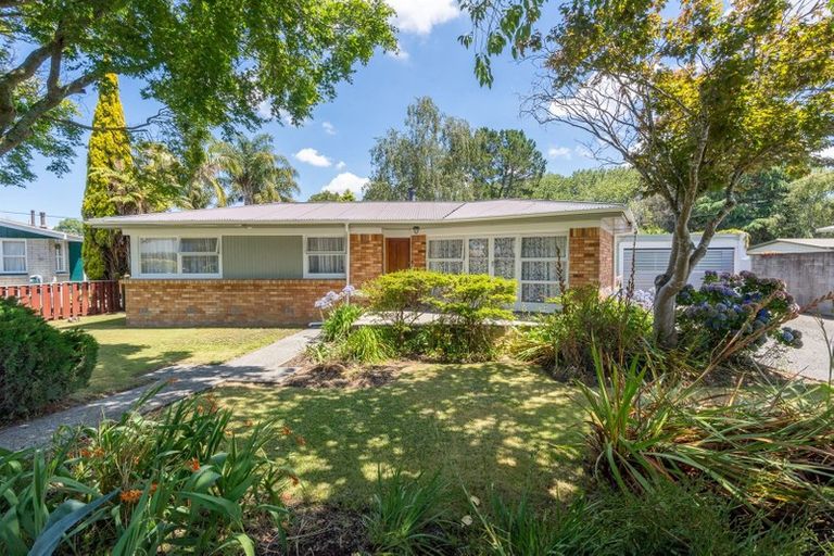 Photo of property in 93 Fitzroy Avenue, Fitzroy, Hamilton, 3206