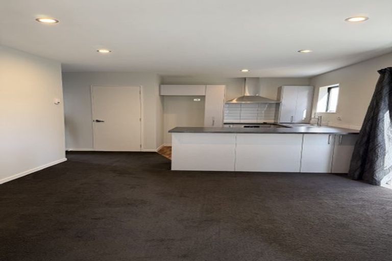 Photo of property in 117a Nursery Road, Phillipstown, Christchurch, 8011