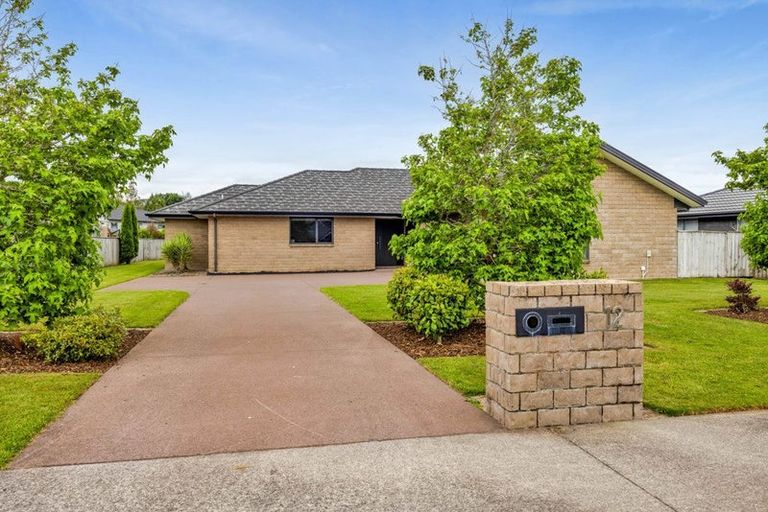 Photo of property in 12 Mercade Close, Stratford, 4332