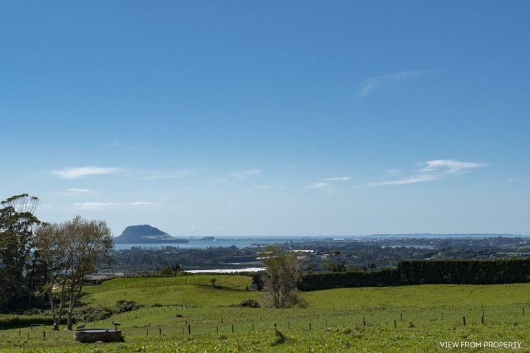 Photo of property in 423c Youngson Road, Whakamarama, Tauranga, 3179