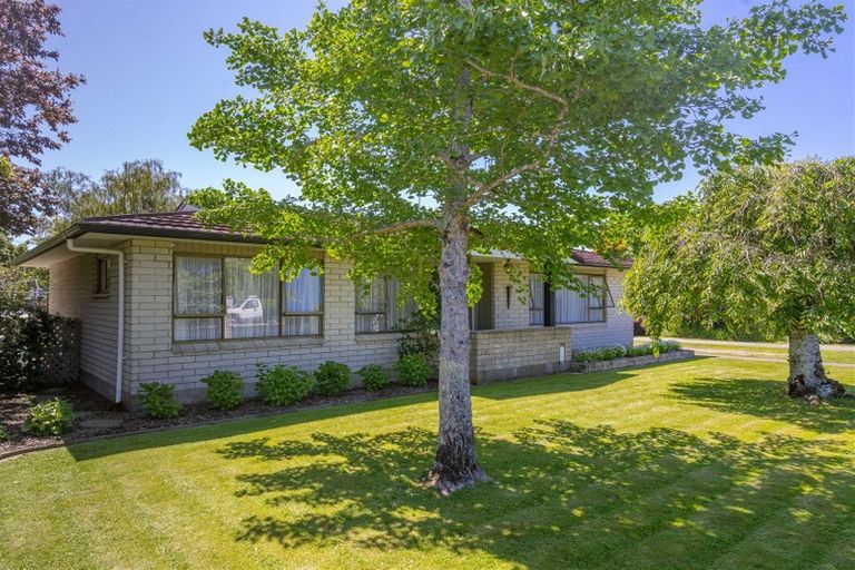 Photo of property in 19 Mcmaster Street, Greytown, 5712