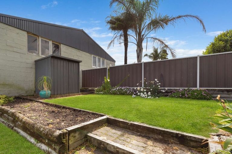 Photo of property in 32a Queen Street, Te Puke, 3119