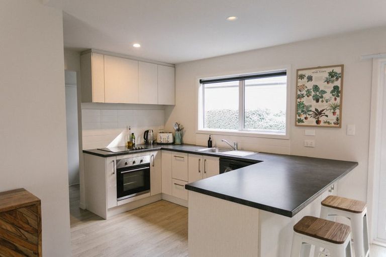 Photo of property in 47 Mathesons Road, Phillipstown, Christchurch, 8011