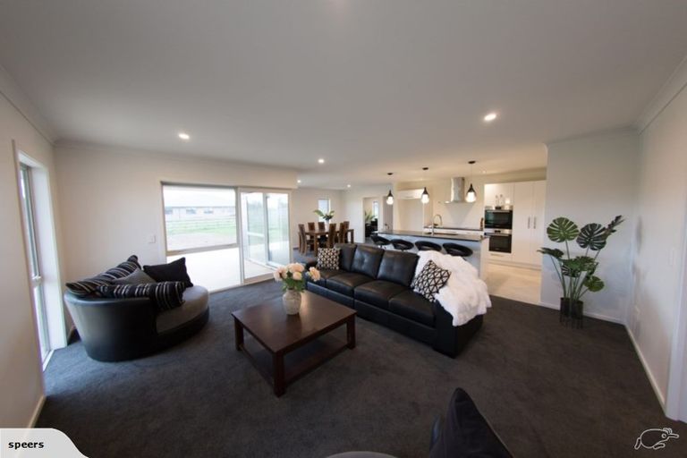Photo of property in 19 Clare Court, Feilding, 4777
