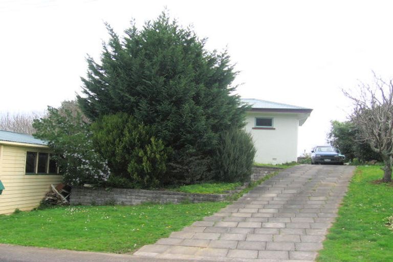 Photo of property in 105 Lambert Street, Thames, 3500