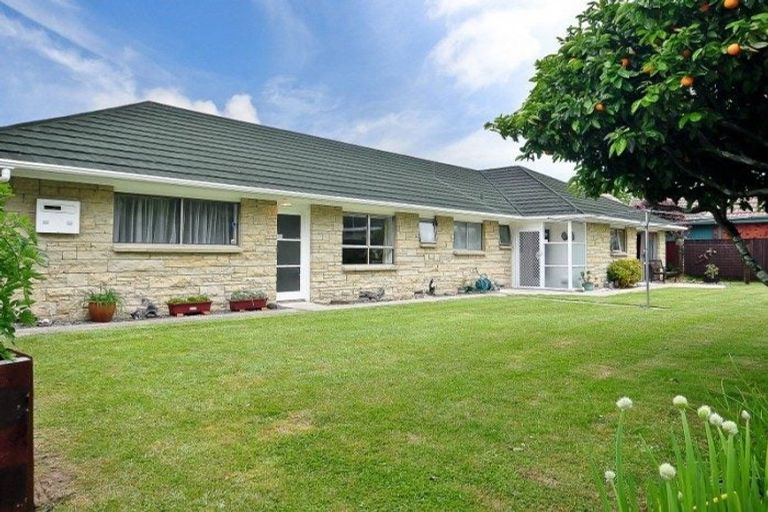 Photo of property in 3 Mcmeekan Avenue, Chartwell, Hamilton, 3210