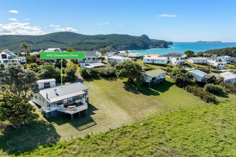 Photo of property in 445 Onemana Drive, Onemana, Whangamata, 3691
