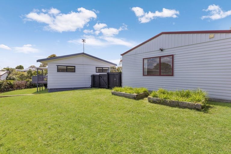 Photo of property in 54 Hinerau Street, Henderson, Auckland, 0612