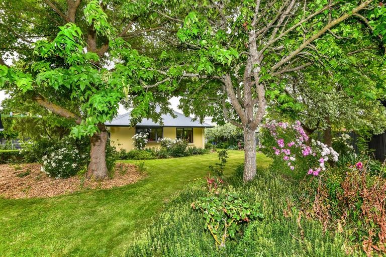 Photo of property in 6 The Mews, Lincoln, 7608