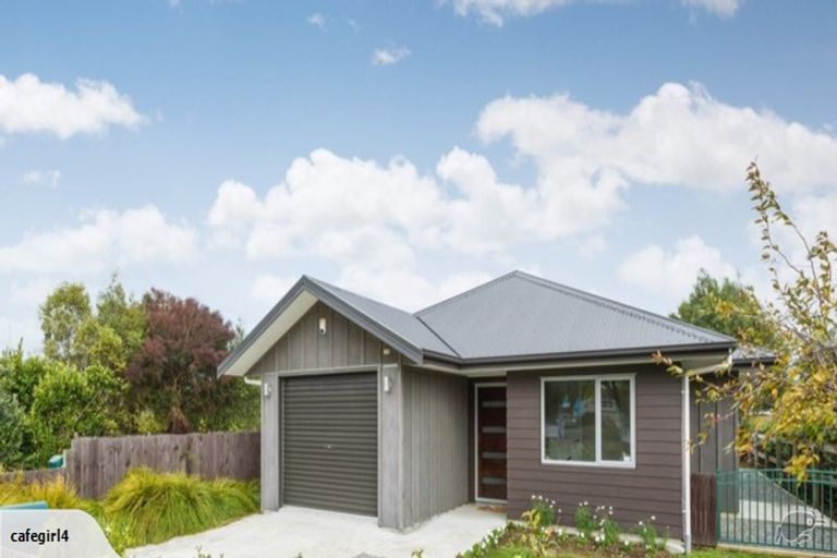 Photo of property in 92d Sherwill Street West, Feilding, 4702