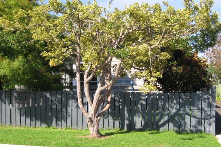 Photo of property in 14 Hamurana Place, Te Atatu Peninsula, Auckland, 0610