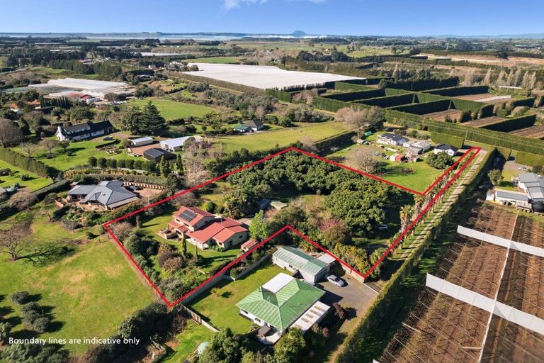 Photo of property in 88 Lockington Road, Aongatete, Katikati, 3181