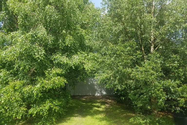 Photo of property in 86 Grey Street, Woodville, 4920
