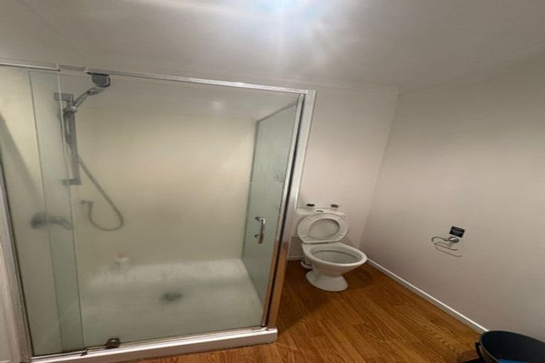 Photo of property in 15b Korimako Street, Frankton, Hamilton, 3204