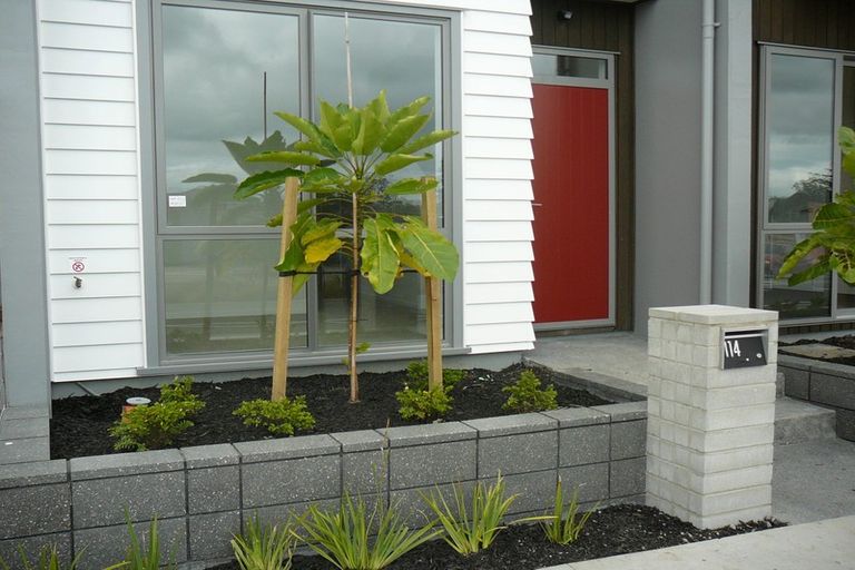 Photo of property in 114 Hobsonville Point Road, Hobsonville, Auckland, 0616